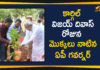 AP Governor Biswa Bhusan Harichandan Plants Saplings In Raj Bhavan, AP Governor gives call to plant trees to mark Kargil Vijay Diwas, AP Guv calls upon people to plant saplings on anniversary, Biswabhusan Harichandan sworn-in as first full time Governor, Mango News, Plants Saplings In Raj Bhavan by Biswabhusan