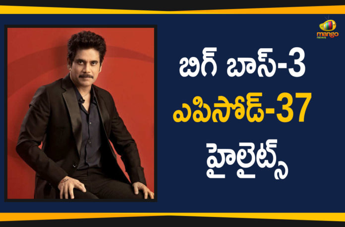 Bigg Boss Episode 37, Bigg Boss Season 3 Telugu, Bigg Boss Season 3 Telugu Episode-37 Highlights, Bigg Boss Season 3 Telugu Highlights, Bigg Boss Season 3 Telugu Latest Updates, Bigg Boss Season 3 Telugu Sunday Episode, Bigg Boss Season 3 Telugu weekend Episodes Highlights, Bigg Boss Telugu, Bigg Boss Telugu 3, Bigg Boss Telugu 3 Highlights, Bigg Boss Telugu 3 Latest, Highlights Of Bigg Boss Telugu 3, Highlights Of Bigg Boss Telugu 3 Episode 37, Mango News Telugu