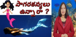 Do Mermaids Really Exist, Unknown Facts About Mermaids in Telugu, Yuvaraj Infotainment, world Mysteries in Telugu INDIA, Do Really Mermaids Exist?, mysterious facts about mermeds, are mermaids real, where do mermaids live, Are Mermaids Exist?, సాగరకన్యలు నిజంగా ఉన్నారా?, sagara kanyalu, believes behind mermeds, suvarnamaccha, mysteries about mermeds in telugu, stories in folklore, hindu mythology, hanuman, ravanaasuras daughter