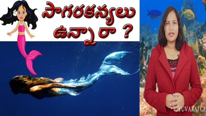 Do Mermaids Really Exist, Unknown Facts About Mermaids in Telugu, Yuvaraj Infotainment, world Mysteries in Telugu INDIA, Do Really Mermaids Exist?, mysterious facts about mermeds, are mermaids real, where do mermaids live, Are Mermaids Exist?, సాగరకన్యలు నిజంగా ఉన్నారా?, sagara kanyalu, believes behind mermeds, suvarnamaccha, mysteries about mermeds in telugu, stories in folklore, hindu mythology, hanuman, ravanaasuras daughter