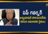 Amaravati Farmers, Amaravati Farmers Meet Governor Biswa Bhushan, Amaravati Farmers Over Capital Change Issue, Ap Political Live Updates 2019, Ap Political News, AP Political Updates, AP Political Updates 2019, Mango News Telugu