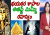 భయంకర శాపాల ఈజిప్ట్ మమ్మీ రహస్యం,Mystery of Egypt King Tutankhamun's Curse,Yuvaraj Infotainment,Mystery of Egypt King,Mystery of Egypt King in Telugu,Tutankhamun,Tutankhamun Mystery,Egypt King Tutankhamun Mystery,Tutankhamun Latest News,Tutankhamun Latest Updates,Mysterious Facts,Myterious Facts in Telugu,Unknown Facts,Unknown Facts in Telugu,Interesting Facts,Interesting Facts in Telugu