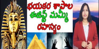 భయంకర శాపాల ఈజిప్ట్ మమ్మీ రహస్యం,Mystery of Egypt King Tutankhamun's Curse,Yuvaraj Infotainment,Mystery of Egypt King,Mystery of Egypt King in Telugu,Tutankhamun,Tutankhamun Mystery,Egypt King Tutankhamun Mystery,Tutankhamun Latest News,Tutankhamun Latest Updates,Mysterious Facts,Myterious Facts in Telugu,Unknown Facts,Unknown Facts in Telugu,Interesting Facts,Interesting Facts in Telugu
