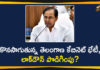Hyderabad, kcr cabinet meeting, KCR Cabinet Meeting To Discuss COVID-19 Lockdown, KCR Telangana Lockdown, Pragati Bhavan, Telangana, Telangana CM KCR Cabinet Meeting, Telangana Lockdown, Telangana Lockdown Issues, Telangana Lockdown Relaxations, telangana lockdown updates, Telangana Rashtra Samithi