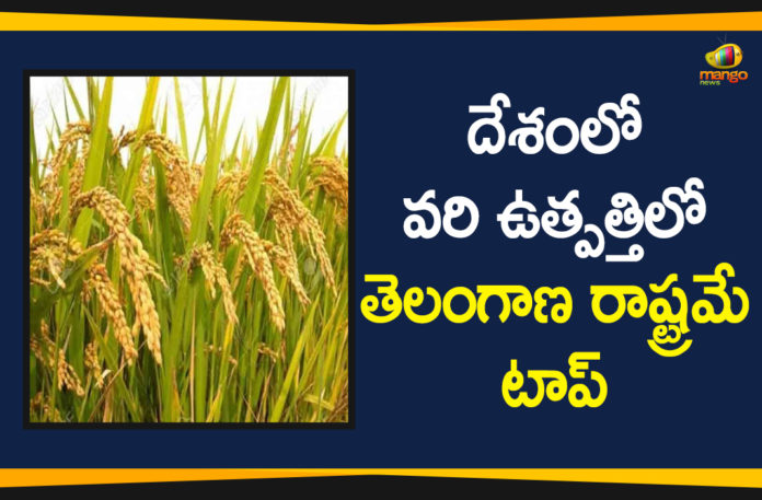 Agriculture Market News, FCI procures highest quantity rice from, FCI Says Telangana State is the Top in Paddy Production, Paddy Production, Paddy Production Telangana, telangana, telangana agriculture development, Telangana Agriculture News, Telangana State is the Top in Paddy Production, Telangana top in nation-wide paddy procurement
