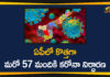 Andhra Pradesh, AP Corona Cases, AP Corona Positive Cases, AP Coronavirus, AP COVID 19 Cases, AP Total Positive Cases, Corona Positive Cases, Coronavirus, Coronavirus Breaking News, Coronavirus Latest News, Coronavirus Live Updates, COVID-19, India COVID 19 Cases, Total Corona Cases In AP, Total COVID 19 Cases