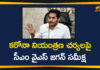 Andhra Pradesh, AP CM YS Jagan, AP Corona Control Measures, AP Corona Positive Cases, AP Coronavirus, AP COVID 19 Cases, AP Govt Corona Control Measures, AP Total Positive Cases, Corona Control Measures, Corona Positive Cases, Coronavirus, YS Jagan Conducts Review Over Corona Control Measures, YS Jagan On Corona Control Measures