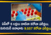 5 Lakh Plus Samples Tested Till Now in Andhra Pradesh, 5 Lakh Plus Samples Tested Till Now in AP, Andhra Pradesh, AP Corona Positive Cases, AP Coronavirus, AP Coronavirus Testing Laboratories, AP COVID 19 Cases, AP Total Positive Cases, Coronavirus, Coronavirus Tests, Coronavirus Tests In AP, COVID-19