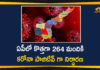 andhra pradesh, AP Corona Positive Cases, AP Coronavirus, AP COVID 19 Cases, AP Total Positive Cases, Coronavirus, Coronavirus Breaking News, coronavirus latest news, Coronavirus live updates, COVID-19, Total Corona Cases In AP