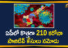 210 New Corona Cases Reported in AP, Andhra Pradesh, AP Corona Positive Cases, AP Coronavirus, AP COVID 19 Cases, AP new corona cases, AP Total Positive Cases, Coronavirus, Coronavirus Live Updates, COVID-19, Total Corona Cases In AP
