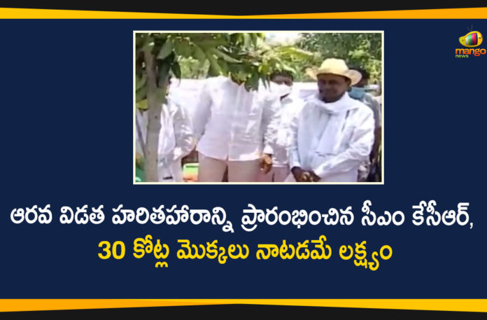 6th Phase Haritha Haram, 6th Phase Haritha Haram Programme, Haritha Haram, Haritha Haram Program, Haritha Haram Program in Telangana, Haritha Haram Programme, Haritha Haram Programme in Narsapur, KCR to Start 6th Phase Haritha Haram Programme, Medak District