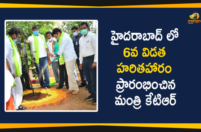 6th Phase Haritha Haram, 6th Phase Haritha Haram Program in Sanath Nagar, 6th Phase Haritha Haram Programme, Haritha Haram, Haritha Haram Program, Haritha Haram Program in Telangana, Haritha Haram Programme, Minister Talasani, Ministers KTR, Sanath Nagar Haritha Haram Programme