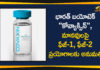 Bharat Biotech, Bharat Biotech COVAXIN, Bharat Biotech Covid-19 Vaccine, coronavirus vaccine, Coronavirus Vaccine COVAXIN, COVAXIN, covid 19 vaccine, Covid-19 Vaccine Human Trials, Hyderabad Company Bharat Biotech, India Develops Covid-19 Vaccine, Indian Council of Medical Research, National Institute of Virology