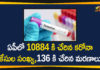 AP Corona Updates, andhra pradesh, AP Corona Positive Cases, AP Coronavirus, AP COVID 19 Cases, AP Total Positive Cases, Coronavirus, Coronavirus Breaking News, coronavirus latest news, Coronavirus live updates, COVID-19, Total Corona Cases In AP