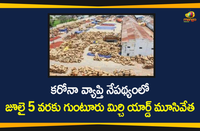 Andhra Pradesh, Andhra Pradesh Latest News, AP Govt, Corona Effect, Guntur, Guntur Coronavirus, Guntur Mirchi Yard, Guntur Mirchi Yard Closed, Guntur Mirchi Yard will be Closed, Guntur Mirchi Yard will be Closed Up To July 5th