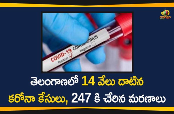 Covid-19 in Telangana, Coronavirus, Coronavirus Breaking News, Coronavirus Latest News, COVID-19, telangana, Telangana Coronavirus, Telangana Coronavirus Cases, Telangana Coronavirus Deaths, Telangana Coronavirus New Cases, Telangana Coronavirus News, Telangana New Positive Cases, Total COVID 19 Cases