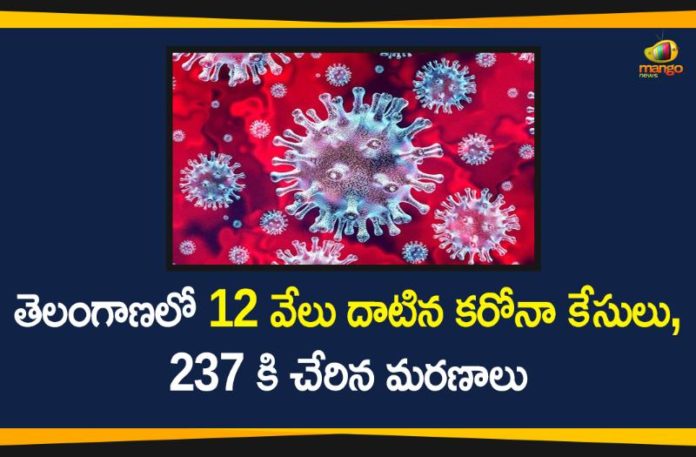 Coronavirus, Coronavirus Breaking News, Coronavirus Latest News, COVID-19, telangana, Telangana Coronavirus, Telangana Coronavirus Cases, Telangana Coronavirus Deaths, Telangana Coronavirus New Cases, Telangana Coronavirus News, Telangana New Positive Cases, Telangana Positive Cases, Total COVID 19 Cases