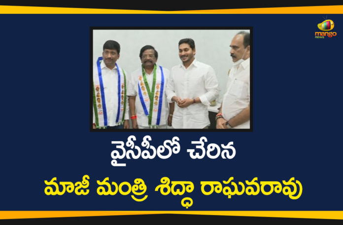 AP CM YS Jagan, AP News, AP Political Updates, Sidda Raghava Rao Joined In YCP, Sidda Raghava Rao Joined In YCP In the Presence Of AP CM YS Jagan, TDP, TDP Senior Leader Joined In YCP, TDP Senior Leader Sidda Raghava Rao, TDP Senior Leader Sidda Raghava Rao Joined In YCP, YCP, YS Jagan