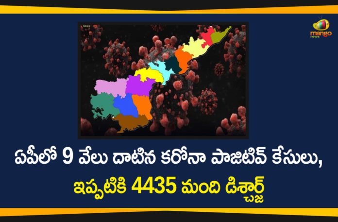 andhra pradesh, AP Corona Positive Cases, AP Coronavirus, AP COVID 19 Cases, AP Total Positive Cases, Coronavirus, Coronavirus Breaking News, coronavirus latest news, Coronavirus live updates, COVID-19, Total Corona Cases In AP