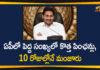 Andhra Pradesh, Andhra Pradesh News, AP Govt Granted 96568 New Pensions, AP Govt New Pensions, AP New Pensions, AP Pension, ap pension scheme, AP Pension Status, New Pension rules, New Pensions In AP, YSR Pension Kanuka