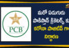 7 Pakistan cricketers test positive, Coronavirus, coronavirus news, Fakhar Zaman, Hafeez, Imran Khan, Pakistan Cricketers Coronavirus, Pakistan Cricketers Coronavirus Positive, Pakistan Cricketers COVID-19, Pakistan Cricketers COVID-19 Positive, Pakistan cricketers test positive, Wahab Riaz