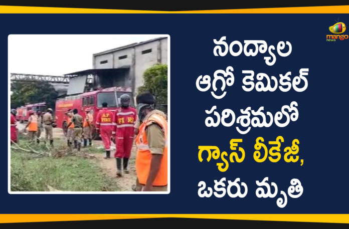 Gas Leakage, Gas Leakage in Nandyal, Gas Leakage in SPY, Gas Leakage in SPY Agro Chemical Industries, Nandyal, Nandyal Gas Leakage, Nandyal Gas Leakage News, Nandyal Gas Leakage Updates, SPY Agro Chemical Industries
