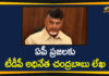 AP News, Chandrababu Naidu, Chandrababu Naidu Latest News, Chandrababu Writes Open Letter over YCP Govt’s One-year Rule, Chandrababu Writes Open Letter to AP People, TDP Chief Chandrababu, TDP President Chandrababu Naidu, YCP Government, YCP Govt One-year Rule