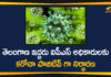 3 IPS officers test positive, Coronavirus outbreak, Coronavirus outbreak Updates, IPS Officers Corona Positive, IPS Officers Tested For Corona Positive in Telangana, telangana, Telangana Coronavirus, Telangana Coronavirus Deaths, Telangana IPS Officers, Telangana IPS Officers Tested Corona Positive, Three IPS officers test positive