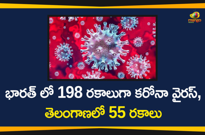 198 Types Of Coronavirus Found In India, Corona Outbreak, Coronavirus In India, Coronavirus in India Highlights, Coronavirus in India live updates, Coronavirus Types, Mango News Telugu, Types Of Corona, Types Of Coronavirus, Types Of Coronavirus In India