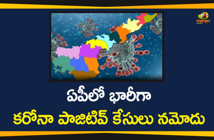 AP Covid-19 Updates, andhra pradesh, AP Corona Positive Cases, AP Coronavirus, AP COVID 19 Cases, AP Total Positive Cases, Coronavirus, Coronavirus Breaking News, coronavirus latest news, Coronavirus live updates, COVID-19, Total Corona Cases In AP