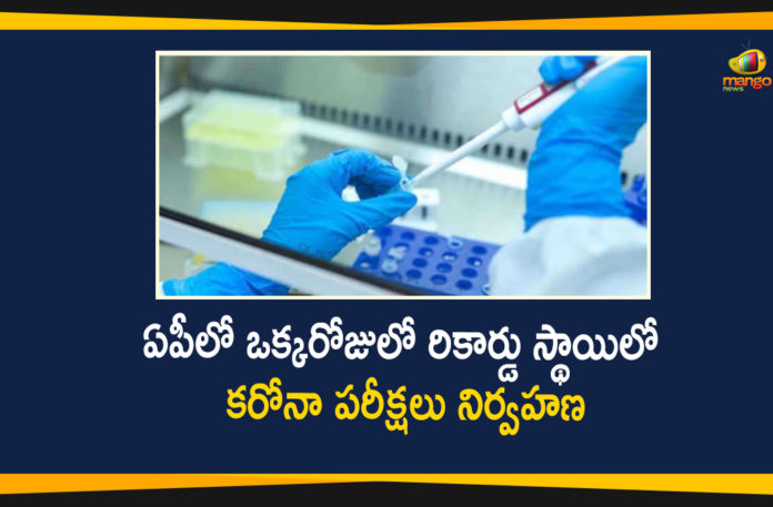 Andhra Pradesh, AP CM YS Jagan, AP Corona Positive Cases, AP Coronavirus, AP COVID 19 Cases, AP Total Positive Cases, Coronavirus, Coronavirus Breaking News, Coronavirus Latest News, Coronavirus Live Updates, COVID-19, Covid-19 in AP, Total Corona Cases In AP