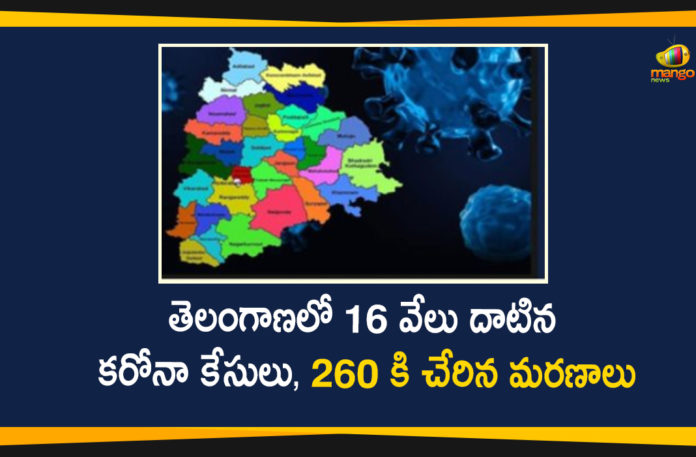 Coronavirus, Coronavirus Breaking News, Coronavirus Latest News, COVID-19, telangana, Telangana Coronavirus, Telangana Coronavirus Cases, Telangana Coronavirus Deaths, Telangana Coronavirus New Cases, Telangana Coronavirus News, Telangana Covid-19 Updates, Telangana New Positive Cases, Total COVID 19 Cases