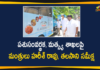 Animal Husbandry and Fisheries Department, Animal Husbandry Department, Fisheries Department, Harish Rao Review on Animal Husbandry and Fisheries Department, Minister Talasani Srinivas, Minister Talasani Srinivas Fisheries Department, Minister Talasani Srinivas Yadav, telangana