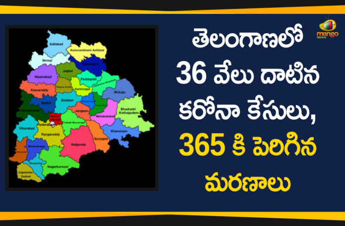 Coronavirus, Coronavirus Breaking News, Coronavirus Latest News, COVID-19, COVID-19 in Telangana, telangana, Telangana Coronavirus, Telangana Coronavirus Cases, Telangana Coronavirus Deaths, Telangana Coronavirus New Cases, Telangana Coronavirus News, Telangana New Positive Cases, Total COVID 19 Cases