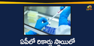 andhra pradesh, AP Corona Positive Cases, AP Coronavirus, AP COVID 19 Cases, AP Total Positive Cases, Coronavirus, Coronavirus Breaking News, coronavirus latest news, Coronavirus live updates, COVID-19, Total Corona Cases In AP