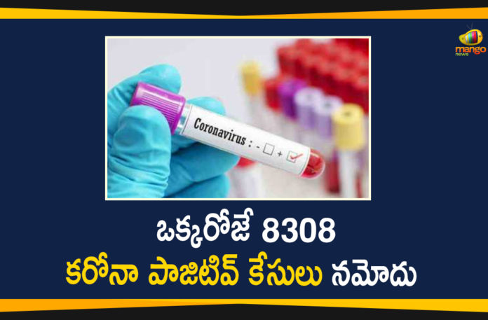 Corona Positive Cases in Maharashtra, Corona Positive Cases In Maharashtra, Maharashtra, Maharashtra , Maharashtra Corona, Maharashtra Corona Cases, Maharashtra Corona Deaths, Maharashtra Corona Positive Cases, Maharashtra Coronavirus, Maharashtra Coronavirus Positive Cases, Maharashtra Coronavirus Updates, Maharashtra COVID 19