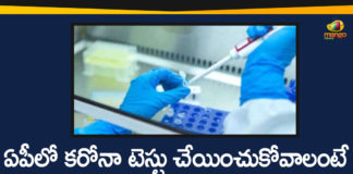 Andhra Pradesh, AP Coronavirus, AP COVID 19 Cases, AP Total Positive Cases, Corona Testing in AP, Corona Testing Process in AP, Corona Update, Coronavirus, COVID-19, Process to Contact For Corona Testing in AP, Total Corona Cases In AP