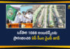 104 Ambulance Services in Vijayawada, Ambulance Services in Vijayawada, AP CM YS Jagan, AP CM YS Jagan Started 1088 Ambulances, AP CM YS Jagan Started 1088 Ambulances At a Time in Vijayawada, AP News, AP Political Updates, New Ambulance Services in Vijayawada, Vijayawada, Vijayawada Ambulances