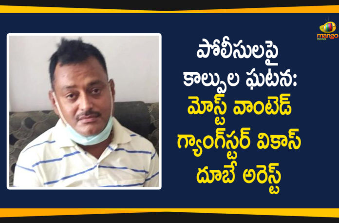 Gangster Vikas Dubey, Gangster Vikas Dubey arrested, Kanpur, Kanpur shootout, Madhya Pradesh, Mahakal police station, Ujjain, Uttar Pradesh, Vikas Dubey Wanted Gangster Of Kanpur Arrested, Vikas Dubey Wanted Gangster Of Kanpur Arrested In Ujjain