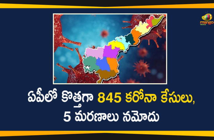 Covid-19 In AP, andhra pradesh, AP Corona Positive Cases, AP Coronavirus, AP COVID 19 Cases, AP Total Positive Cases, Coronavirus, Coronavirus Breaking News, coronavirus latest news, Coronavirus live updates, COVID-19, Total Corona Cases In AP