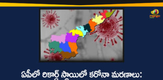 AP Covid-19 Updates, andhra pradesh, AP Corona Positive Cases, AP Coronavirus, AP COVID 19 Cases, AP Total Positive Cases, Coronavirus, Coronavirus Breaking News, coronavirus latest news, Coronavirus live updates, COVID-19, Total Corona Cases In AP
