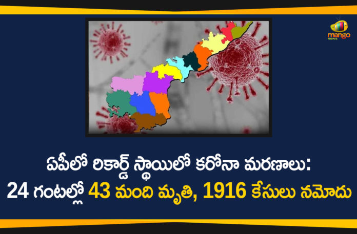 AP Covid-19 Updates, andhra pradesh, AP Corona Positive Cases, AP Coronavirus, AP COVID 19 Cases, AP Total Positive Cases, Coronavirus, Coronavirus Breaking News, coronavirus latest news, Coronavirus live updates, COVID-19, Total Corona Cases In AP