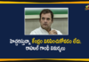 Central Govt, China Issue, India Coronavirus, India Coronavirus News, rahul gandhi, Rahul Gandhi About Coronavirus, Rahul Gandhi Coronavirus, Rahul Gandhi Latest News, Rahul Gandhi Political Updates, Rahul Gandhi Warnings on Corona