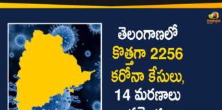 Coronavirus, Coronavirus Breaking News, Coronavirus Latest News, COVID-19, telangana, Telangana Coronavirus, Telangana Coronavirus Cases, Telangana Coronavirus Deaths, Telangana Coronavirus New Cases, Telangana Coronavirus News, Telangana New Positive Cases, Total COVID 19 Cases
