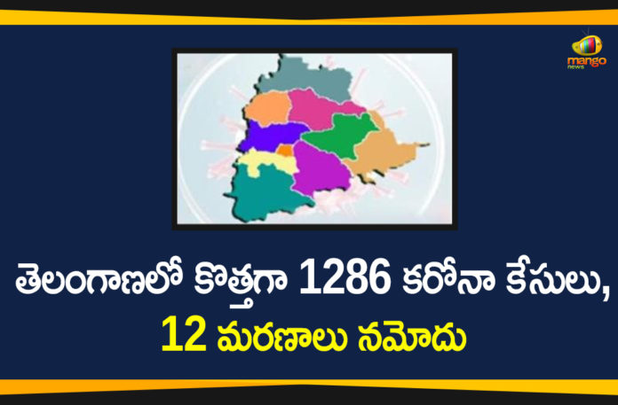 Telangana Corona Updates, Coronavirus, Coronavirus Breaking News, Coronavirus Latest News, COVID-19, telangana, Telangana Coronavirus, Telangana Coronavirus Cases, Telangana Coronavirus Deaths, Telangana Coronavirus New Cases, Telangana Coronavirus News, Telangana New Positive Cases, Total COVID 19 Cases