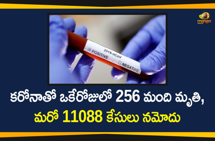 Corona Positive Cases in Maharashtra, Corona Positive Cases In Maharashtra, Maharashtra, Maharashtra , Maharashtra Corona, Maharashtra Corona Cases, Maharashtra Corona Deaths, Maharashtra Corona Positive Cases, Maharashtra Coronavirus, Maharashtra Coronavirus Positive Cases, Maharashtra Coronavirus Updates, Maharashtra COVID 19