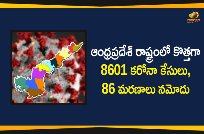 andhra pradesh, AP Corona Positive Cases, AP Coronavirus, AP COVID 19 Cases, AP Total Positive Cases, Coronavirus, Coronavirus Breaking News, coronavirus latest news, Coronavirus live updates, COVID-19, Total Corona Cases In AP