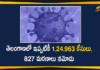 Coronavirus, COVID-19, COVID-19 in Telangana, telangana, Telangana Coronavirus, Telangana Coronavirus Cases, telangana coronavirus cases today, telangana coronavirus cases today district wise, Telangana Coronavirus Deaths, Telangana Coronavirus New Cases, Telangana Coronavirus News, telangana covid cases today bulletin, telangana covid cases today list