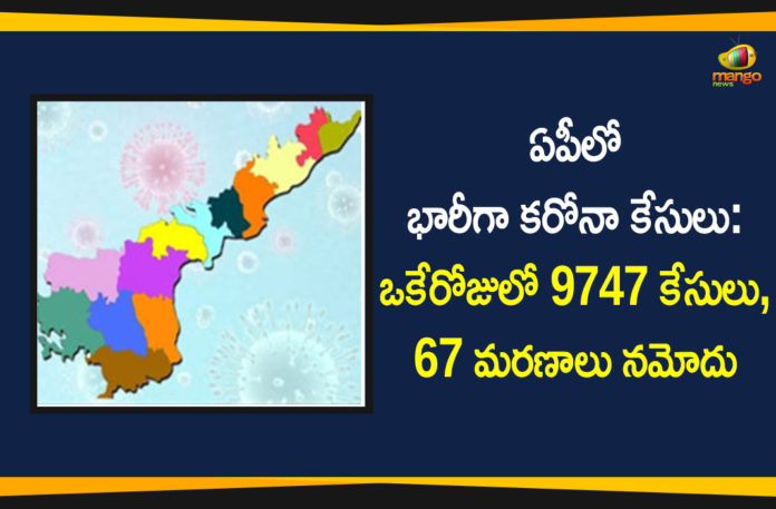 andhra pradesh, AP Corona Positive Cases, AP Coronavirus, AP COVID 19 Cases, AP Total Positive Cases, Coronavirus, Coronavirus Breaking News, coronavirus latest news, Coronavirus live updates, COVID-19, Total Corona Cases In AP
