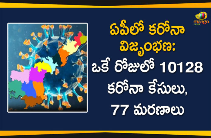 andhra pradesh, AP Corona Positive Cases, AP Coronavirus, AP COVID 19 Cases, AP Total Positive Cases, Coronavirus, Coronavirus Breaking News, coronavirus latest news, Coronavirus live updates, COVID-19, Total Corona Cases In AP